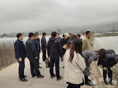 鄭州商品交易所深入天水開展馬鈴薯產(chǎn)業(yè)調(diào)研，助力期貨市場服務(wù)鄉(xiāng)村振興